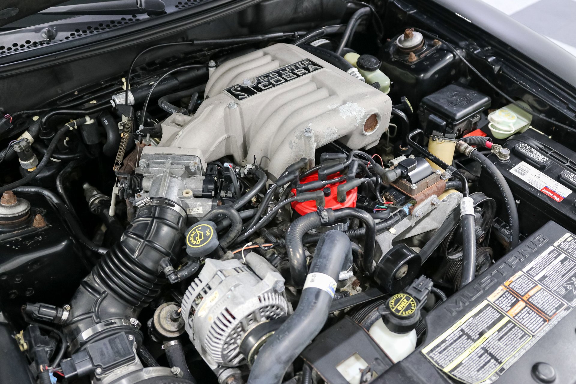 Used 1995 Ford Mustang GT RWD image 23