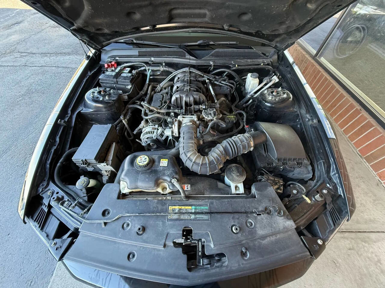 Used 2009 Ford Mustang Premium image 19