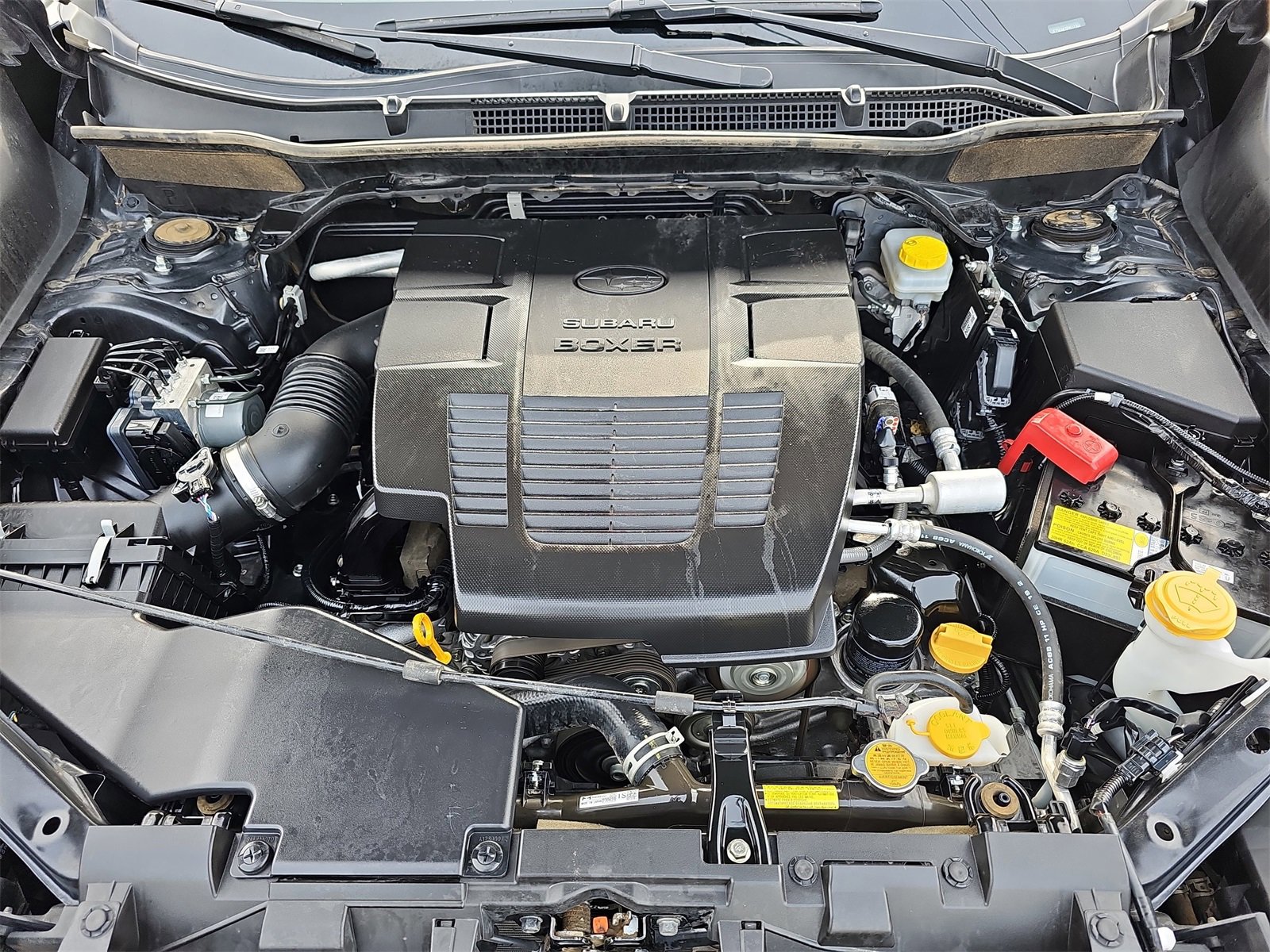 Used 2023 Subaru Forester Wilderness image 32