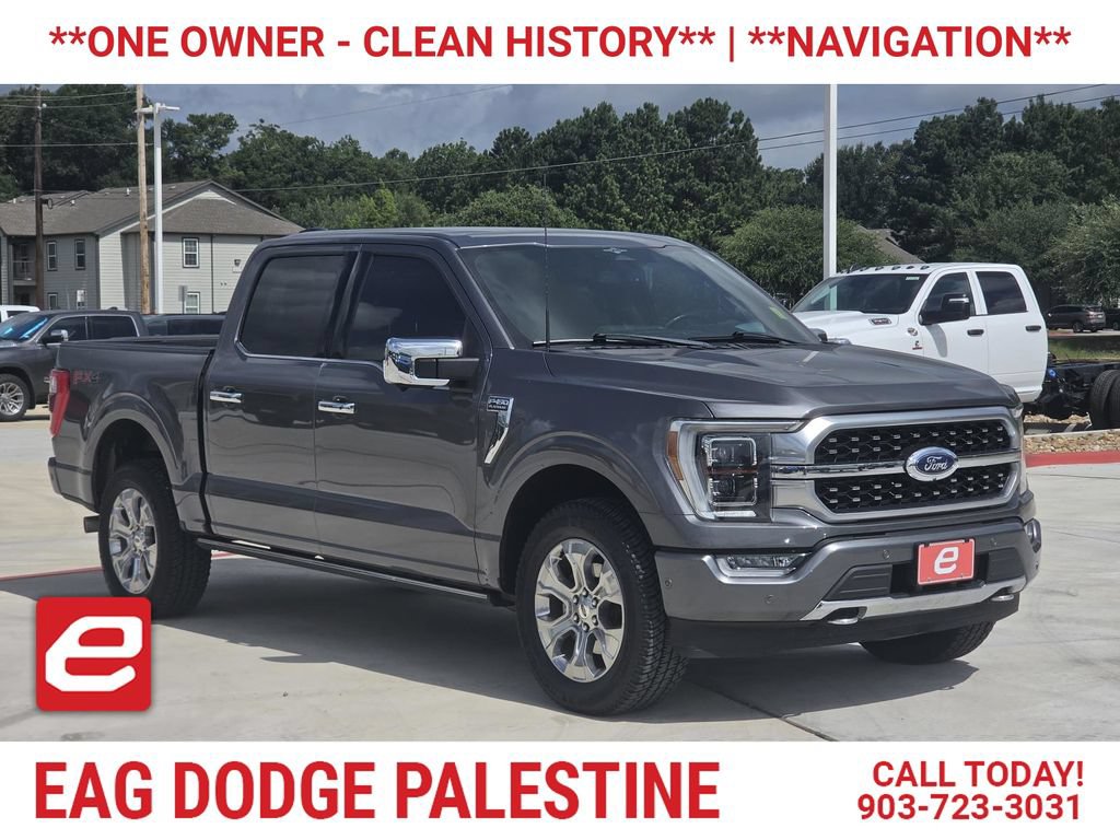 Used 2023 Ford F150 Platinum w/ Equipment Group 701A High