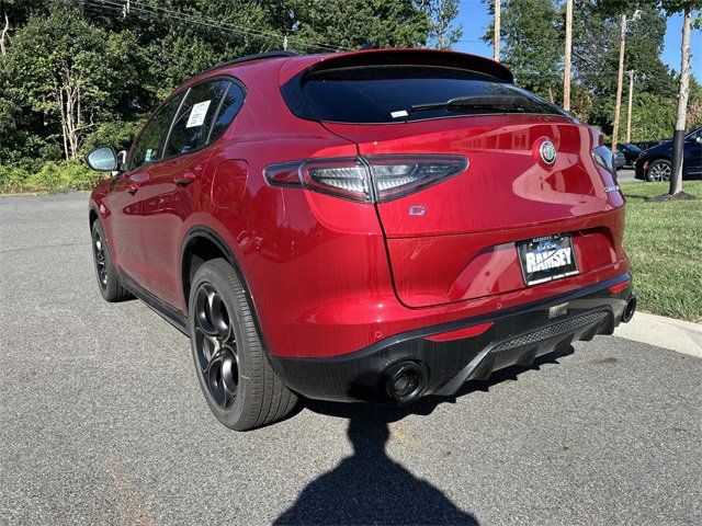 New 2025 Alfa Romeo Stelvio Sprint image 6
