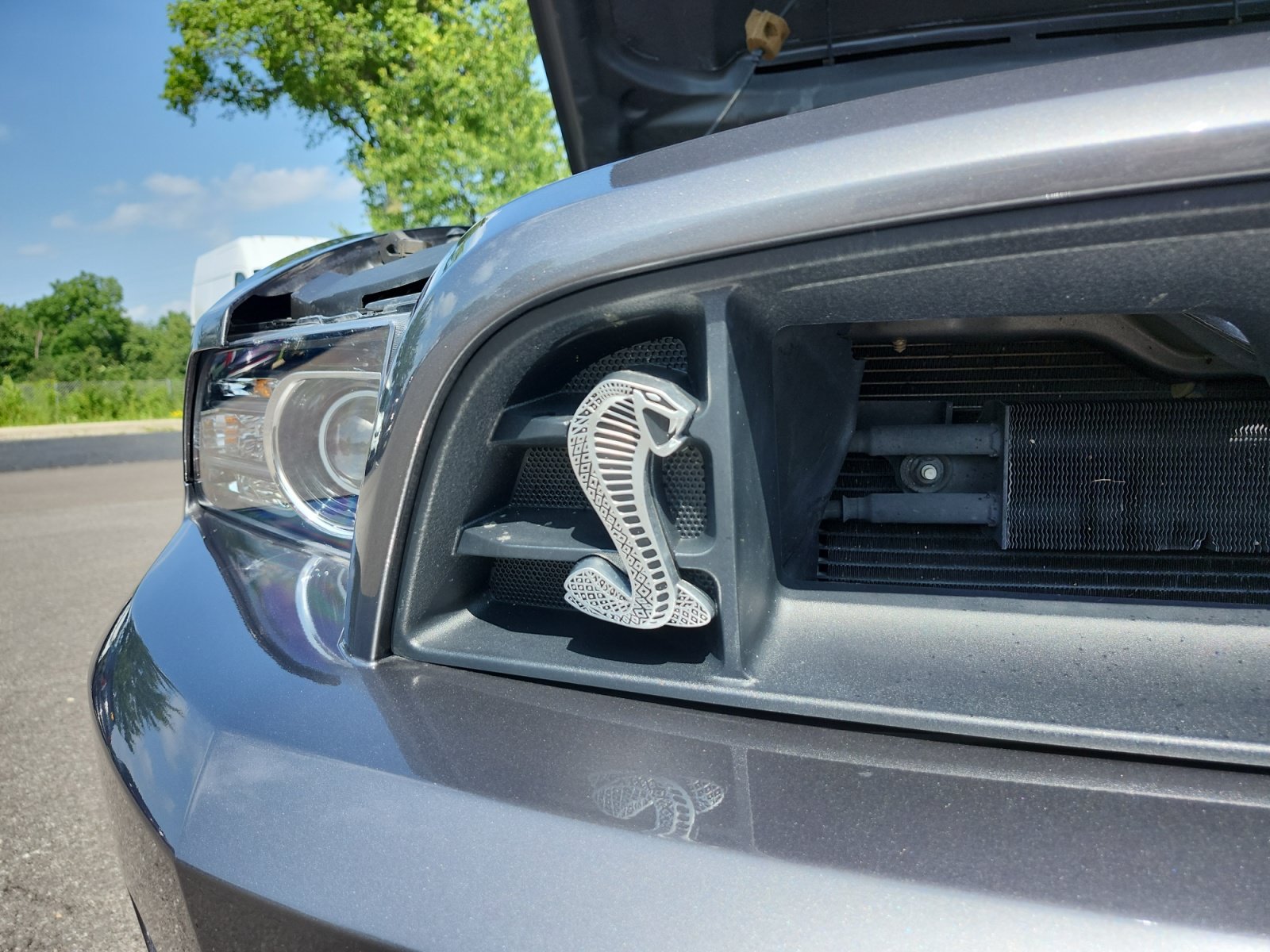 Used 2014 Ford Mustang Shelby GT500 w/ Equipment Group 821A RWD image 19