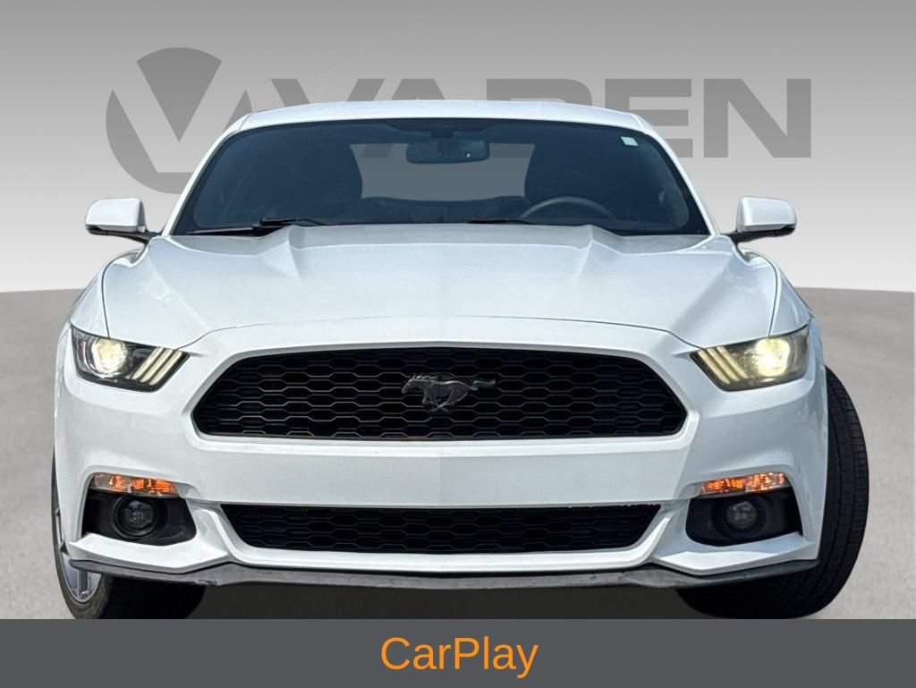 Used 2017 Ford Mustang Premium w/ Equipment Group 201A RWD image 3