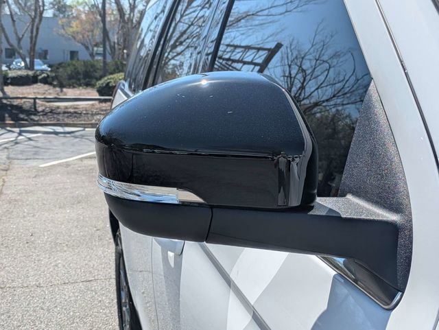 New 2026 Ford Expedition Active image 12