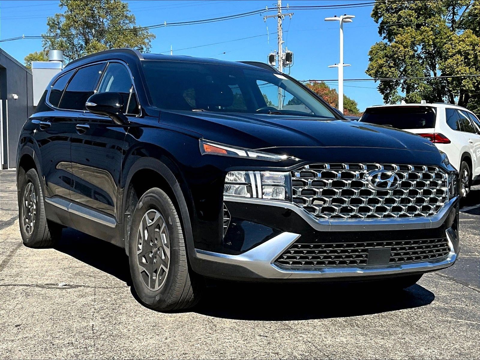 Used 2021 Hyundai Santa Fe Blue AWD/4WD image 2