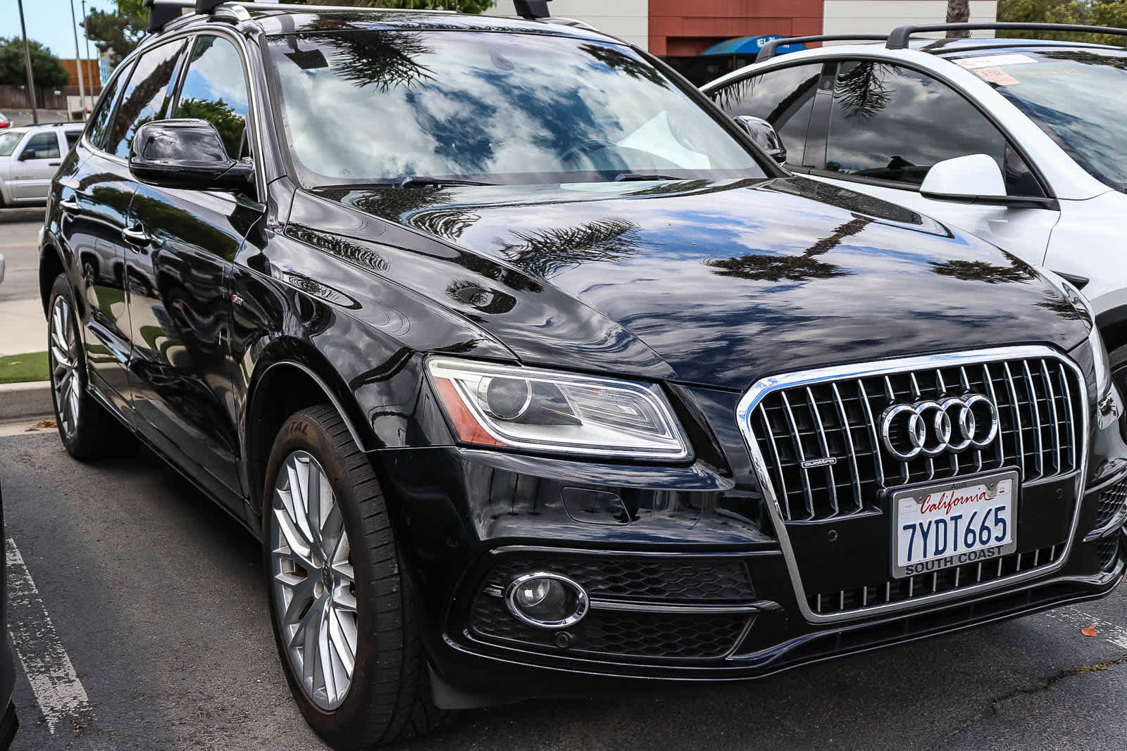 Used 2017 Audi Q5 2.0T Premium Plus w/ Technology Package AWD/4WD image 8