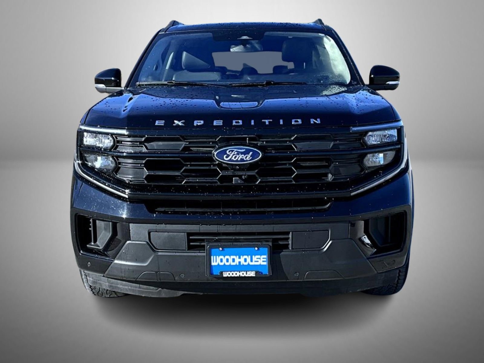 Used 2025 Ford Expedition Active image 2