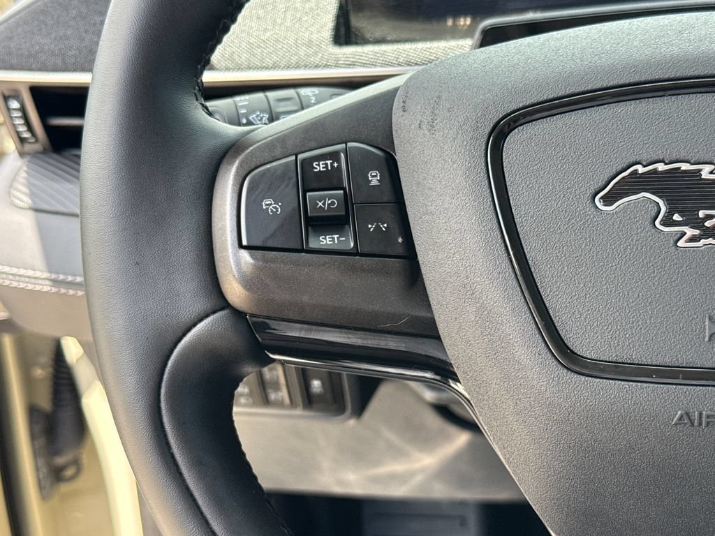 Used 2025 Ford Mustang Mach-E Premium RWD image 16