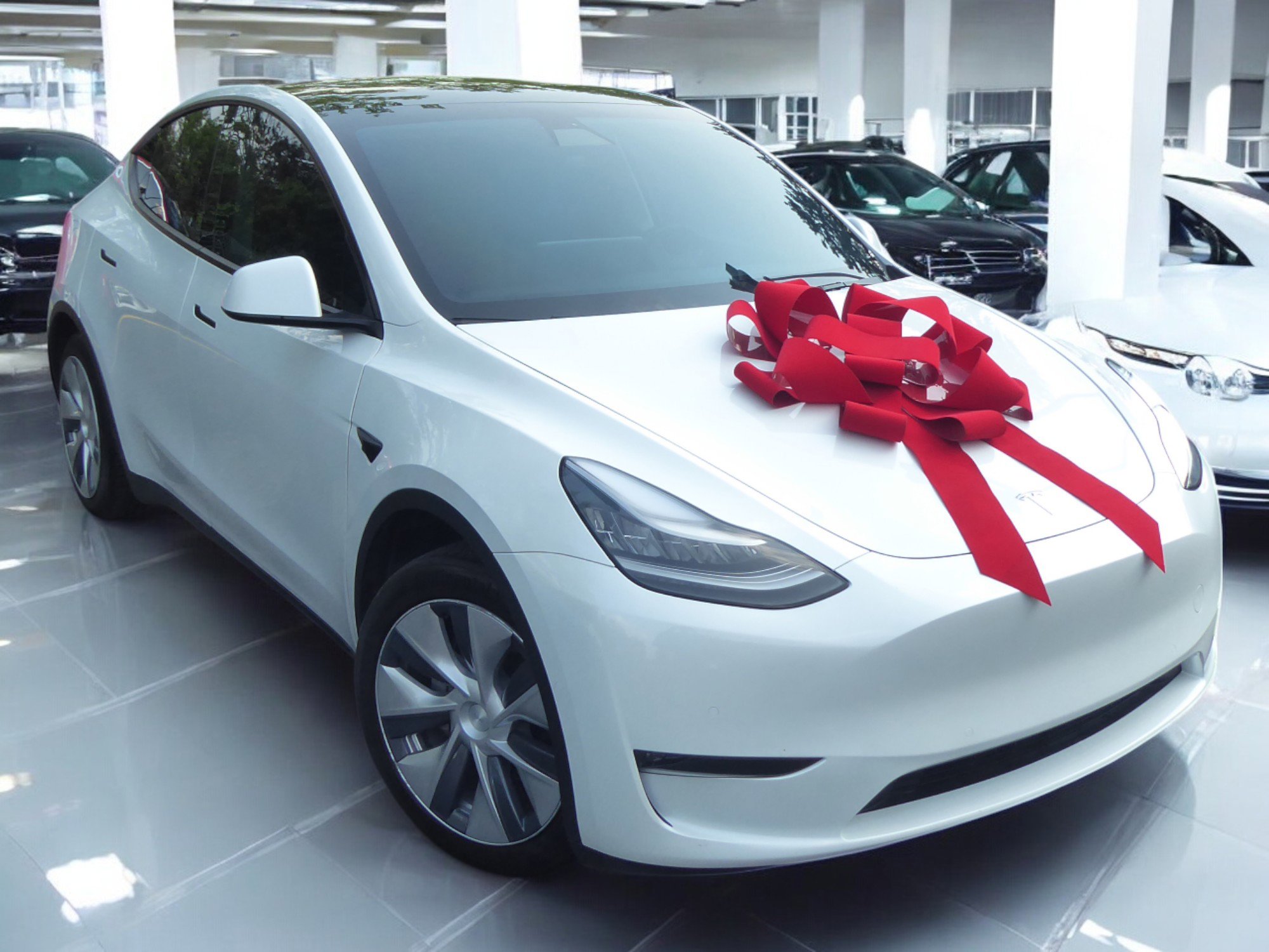 Used 2020 Tesla Model Y Long Range image 2