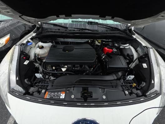 Used 2020 Ford Escape SEL image 19