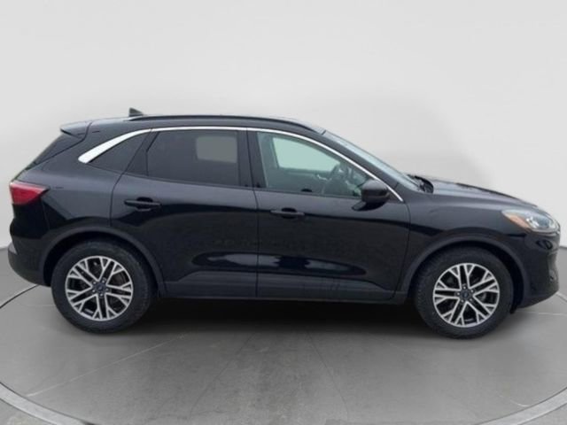 Used 2020 Ford Escape SEL image 7