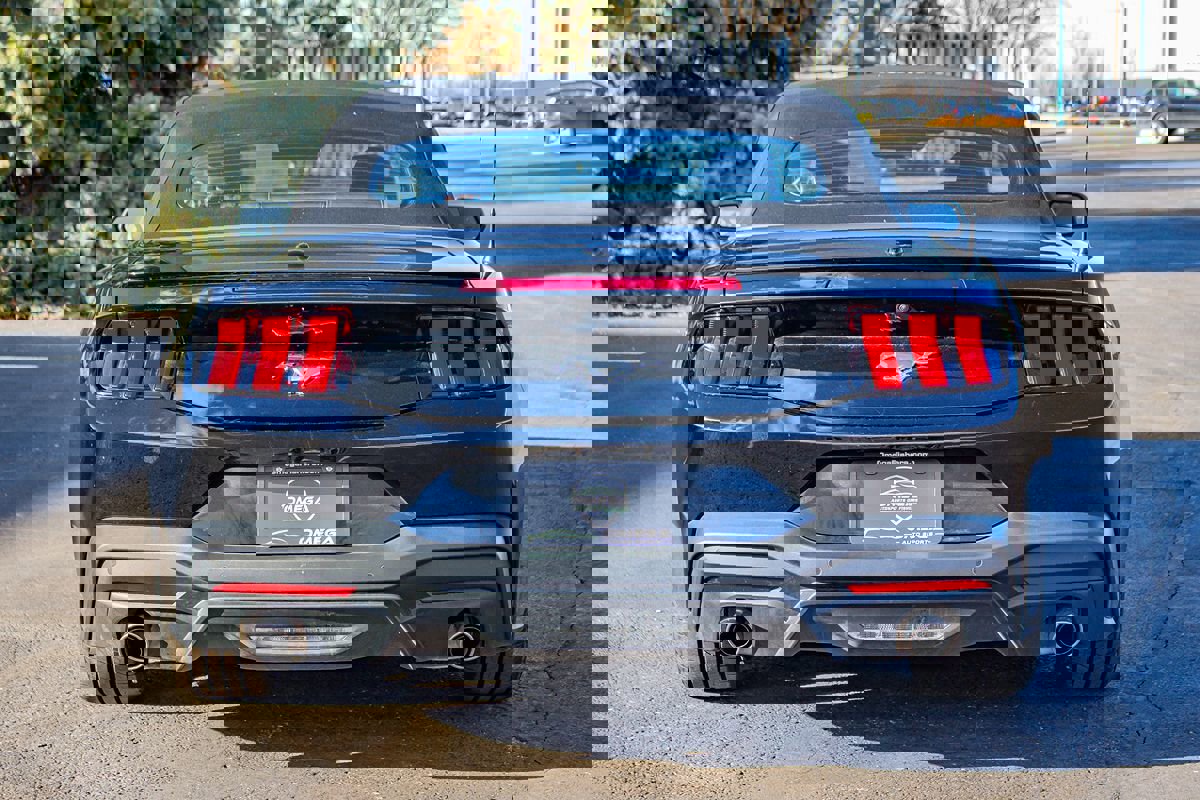Used 2024 Ford Mustang Premium image 8