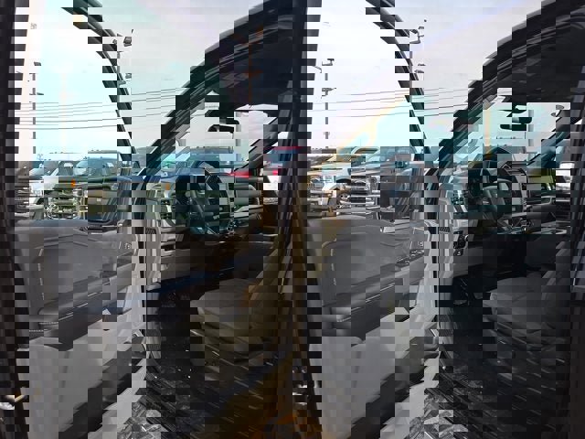 Used 2025 Ford F150 XLT w/ Equipment Group 301A Standard image 7