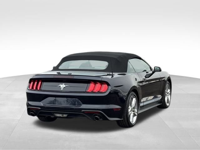 Used 2021 Ford Mustang Premium w/ Pony Package image 7