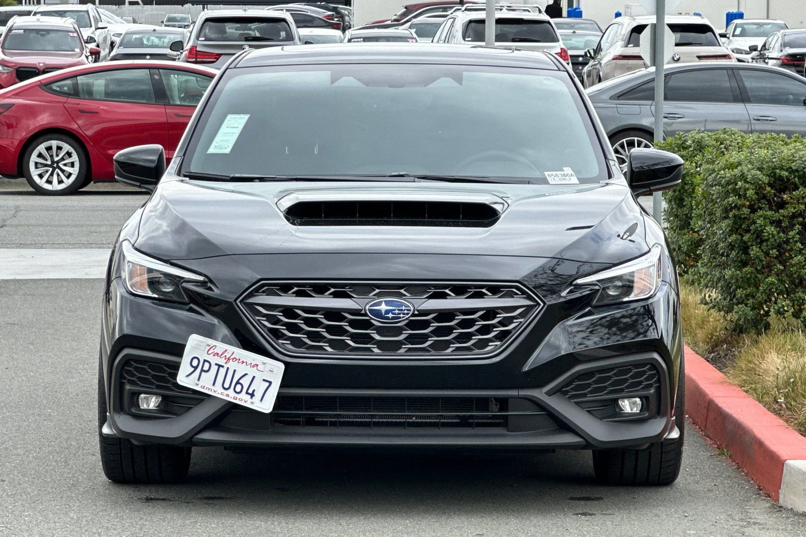 Used 2024 Subaru WRX Premium w/ Popular Package #1A image 9