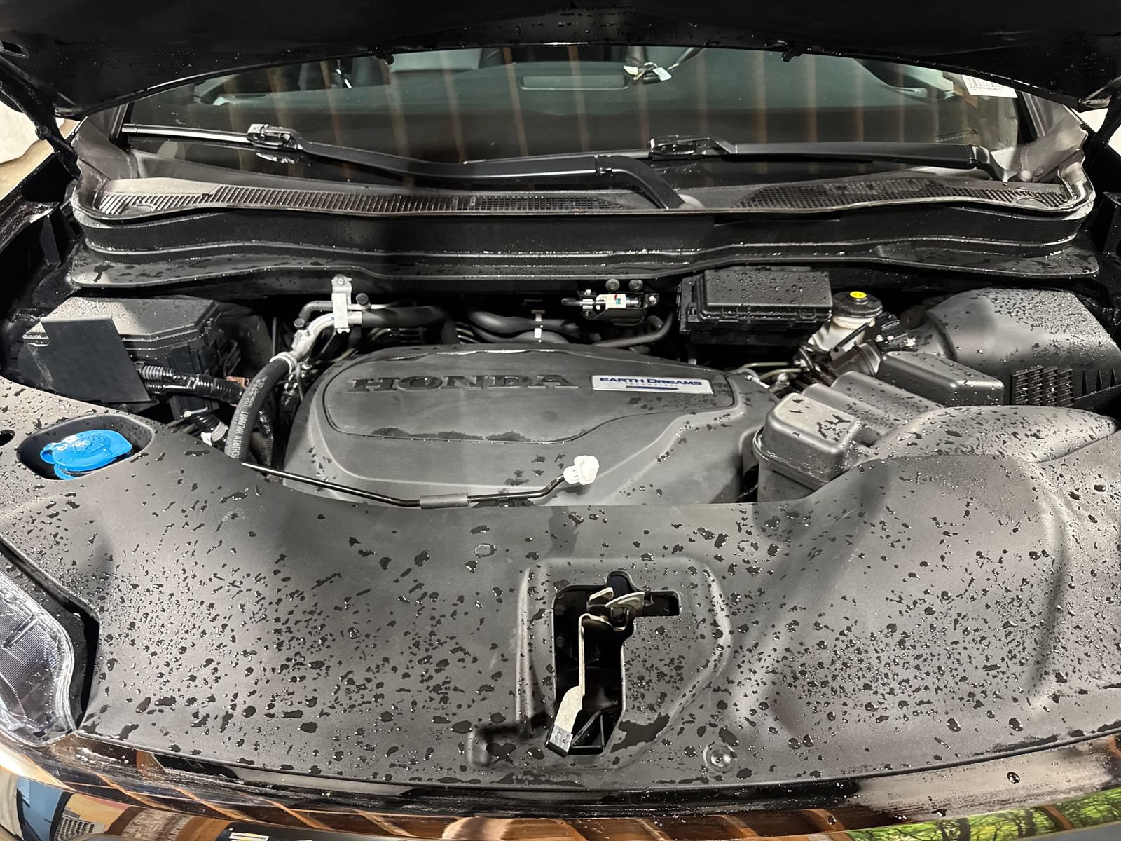 Used 2019 Honda Ridgeline Black Edition image 29