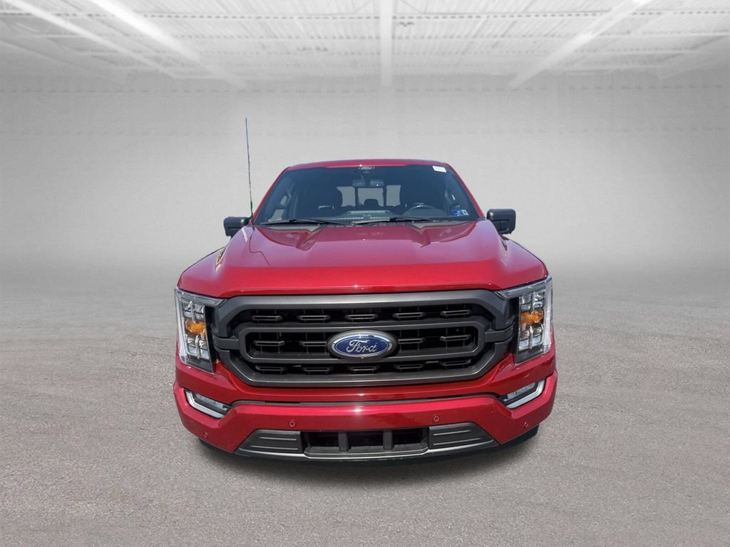 Used 2021 Ford F150 XLT w/ Equipment Group 302A High RWD image 14