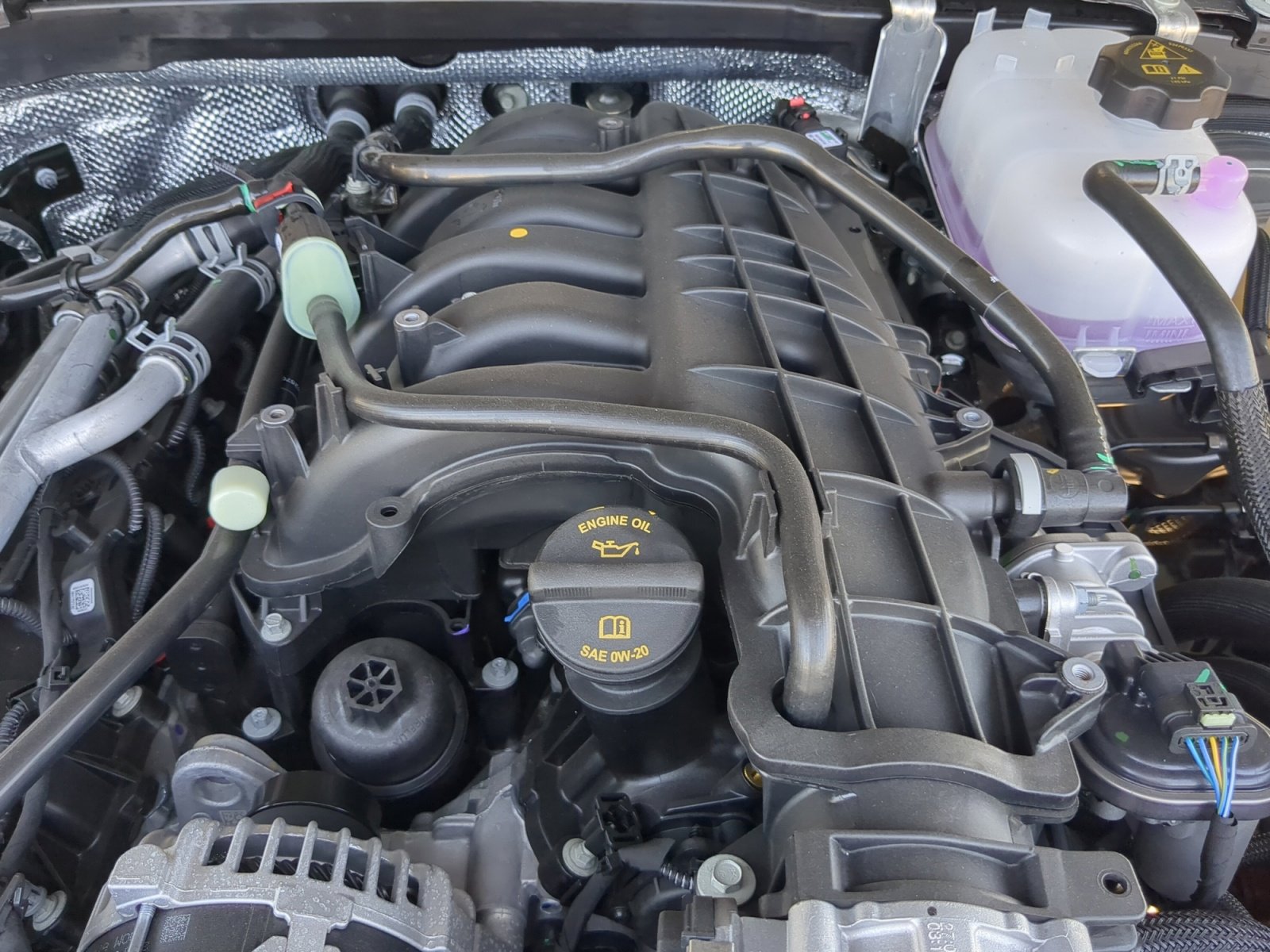 New 2025 Jeep Wrangler Unlimited Rubicon w/ Steel Bumper Group image 22