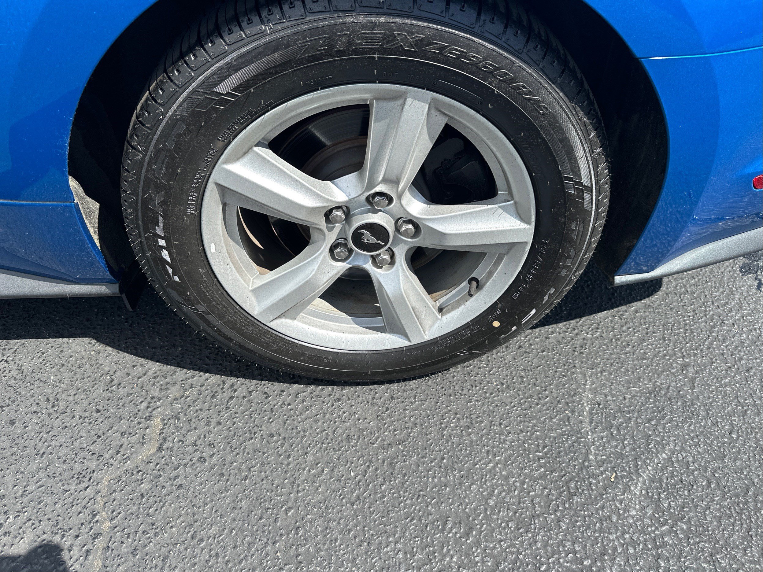 Used 2019 Ford Mustang Coupe RWD image 25