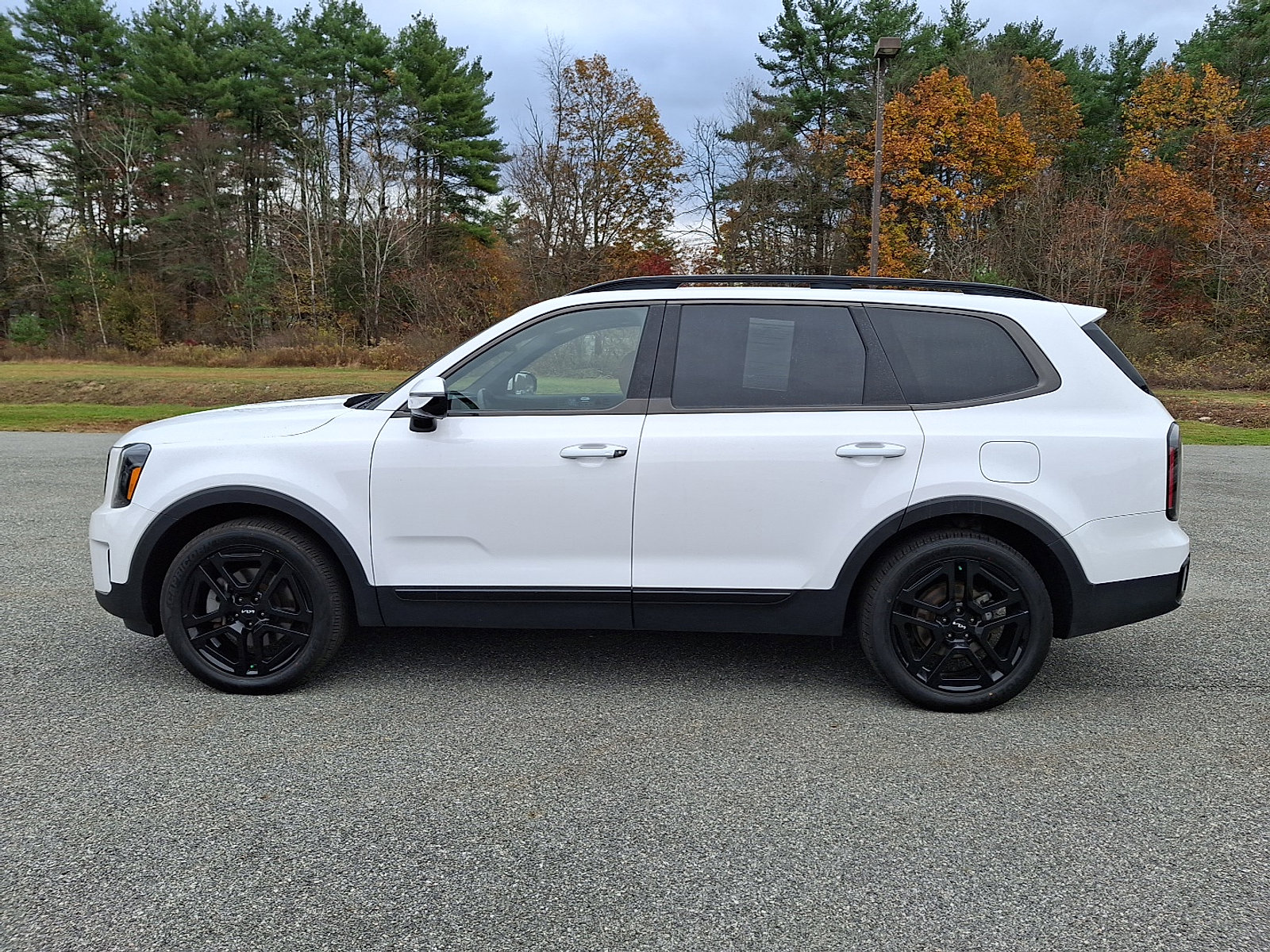 Used 2024 Kia Telluride SX Prestige X-Line image 6