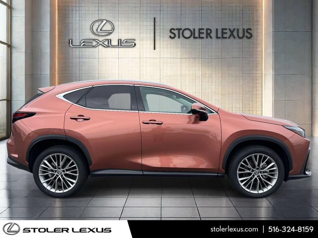 Certified 2025 Lexus NX 350 AWD w/ Cold Area Package image 4