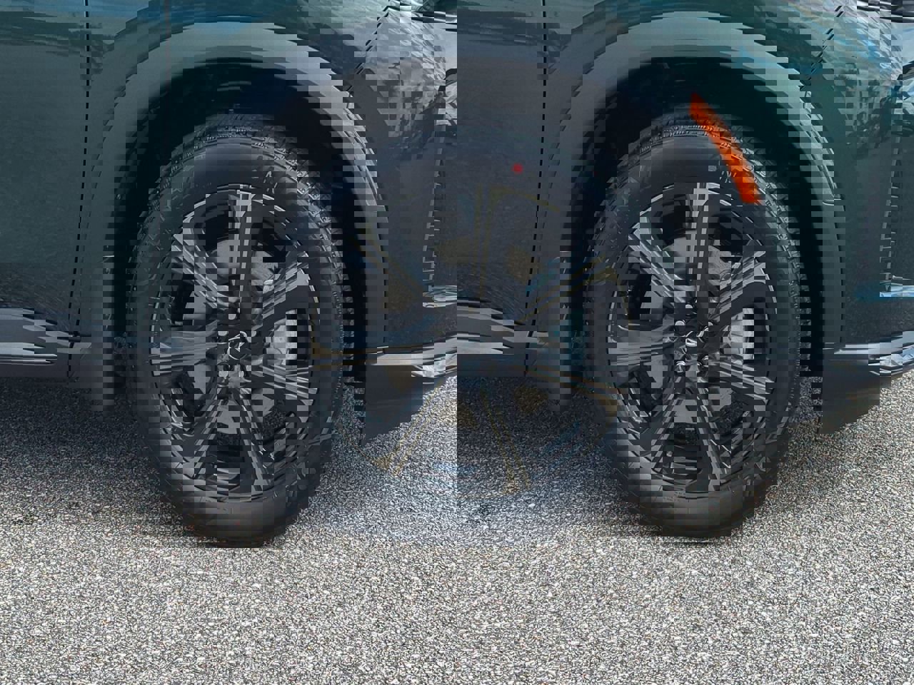 New 2026 INFINITI QX60 Autograph w/ Dark Cargo Package image 11
