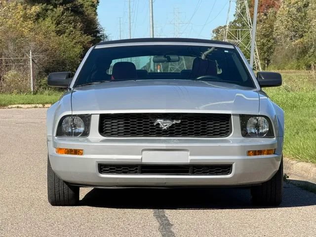 Used 2005 Ford Mustang Premium RWD image 7