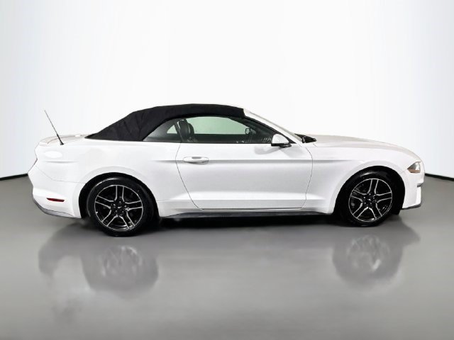 Used 2019 Ford Mustang Premium RWD image 11