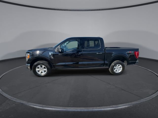 Used 2021 Ford F150 XLT w/ Equipment Group 301A Mid image 9