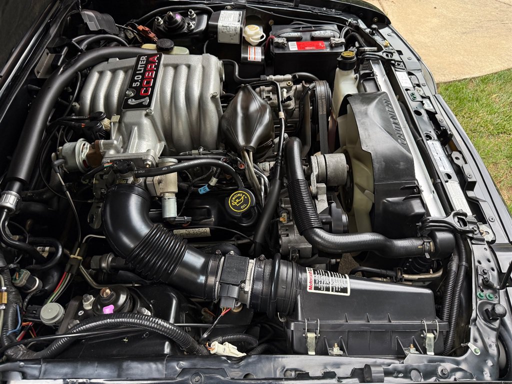 Used 1993 Ford Mustang Cobra RWD image 72