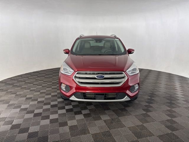 Used 2019 Ford Escape Titanium image 2