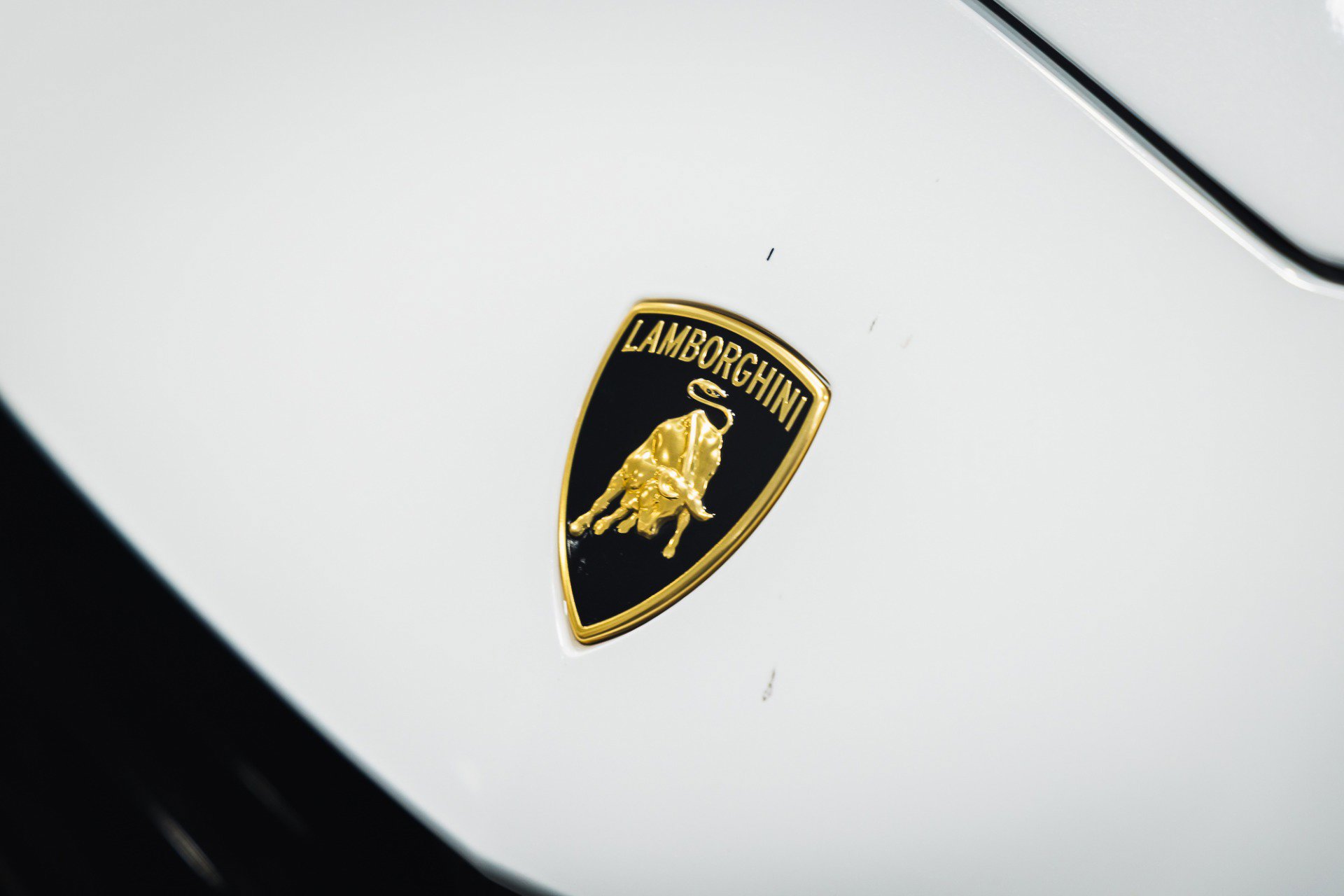 Used 2023 Lamborghini Urus Performante image 15