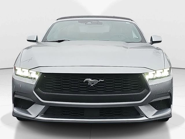 Used 2024 Ford Mustang Premium image 8