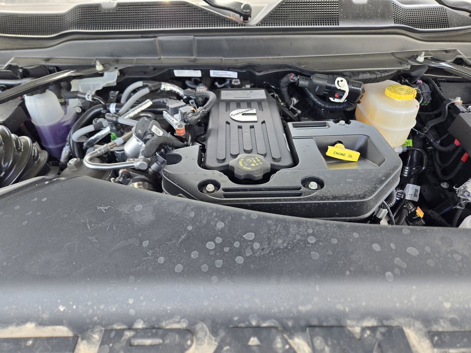 New 2025 RAM 2500 Rebel w/ Rebel Level 2 Equipment Group image 25