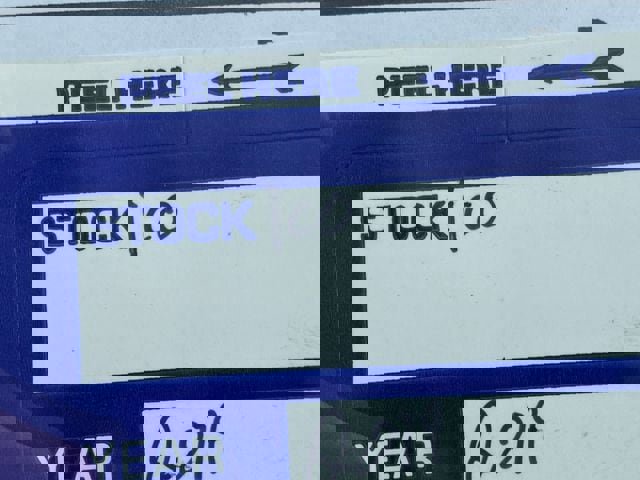 Used 2019 Ford Mustang GT Premium image 10