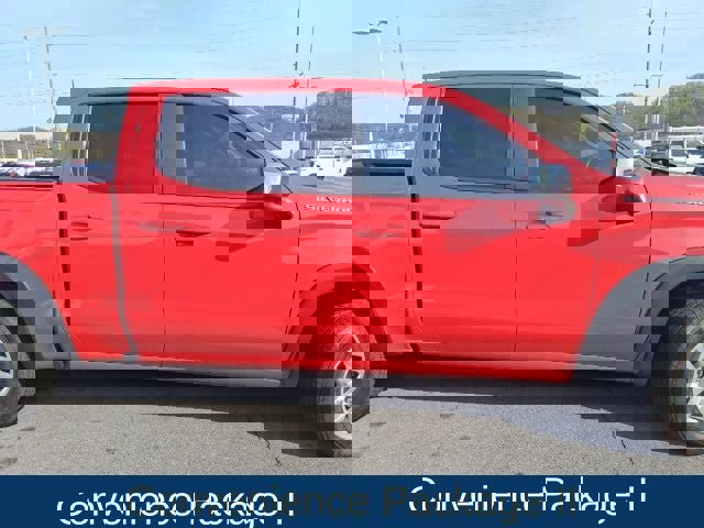 Used 2019 Chevrolet Silverado 1500 LT w/ All-Star Edition image 7