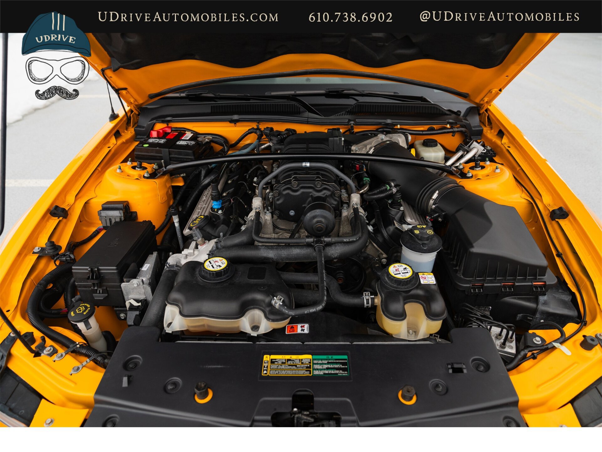 Used 2008 Ford Mustang Shelby GT500 image 44