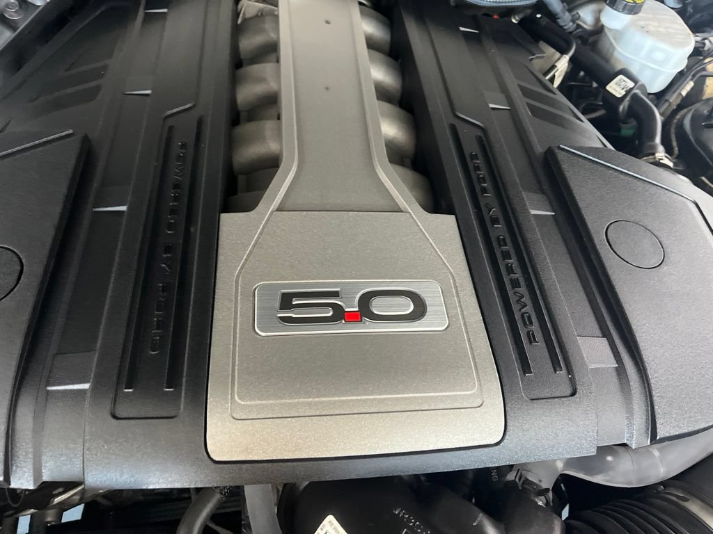 Used 2019 Ford Mustang GT w/ Equipment Group 301A RWD image 10
