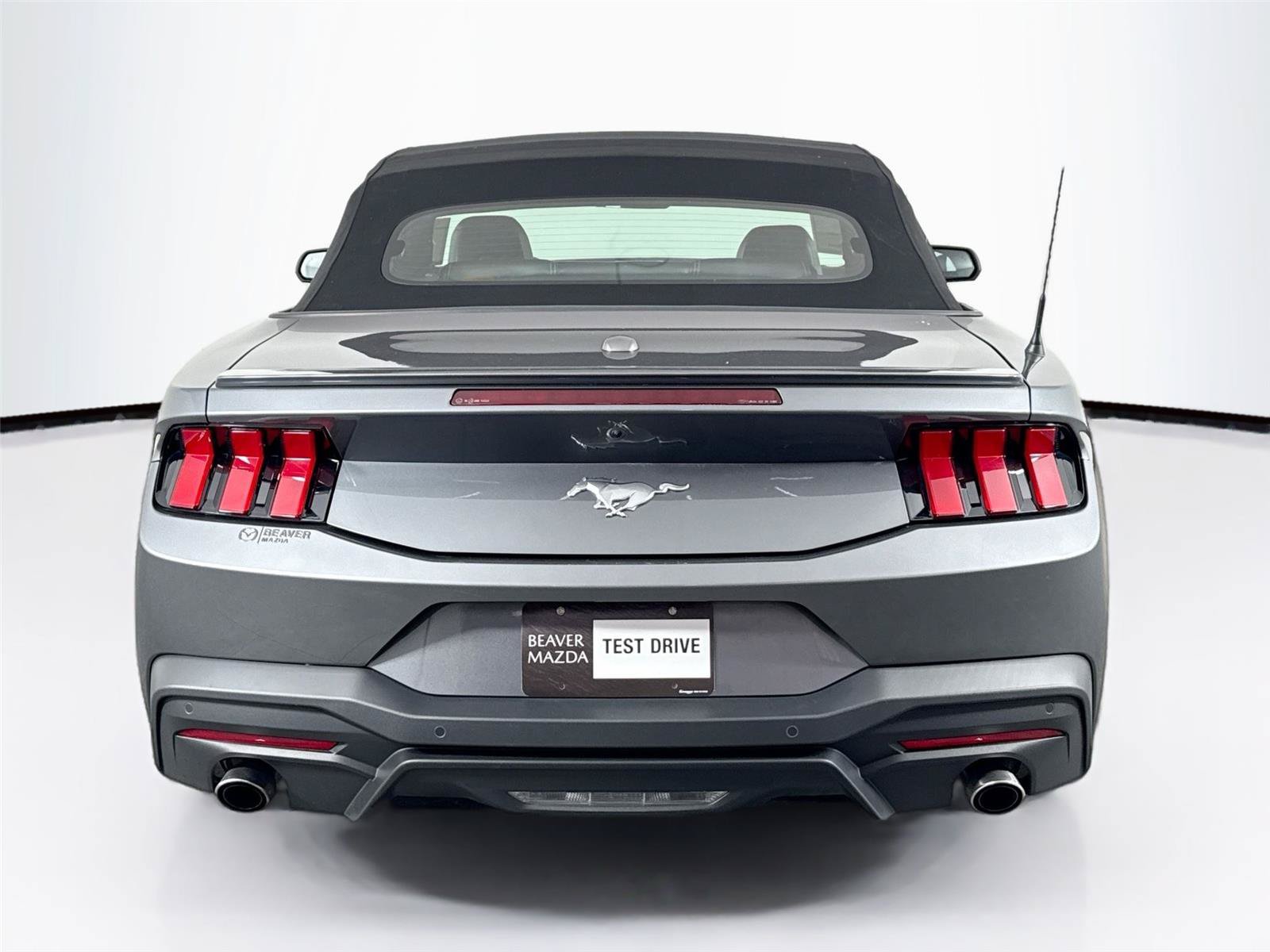 Used 2025 Ford Mustang Premium RWD image 11