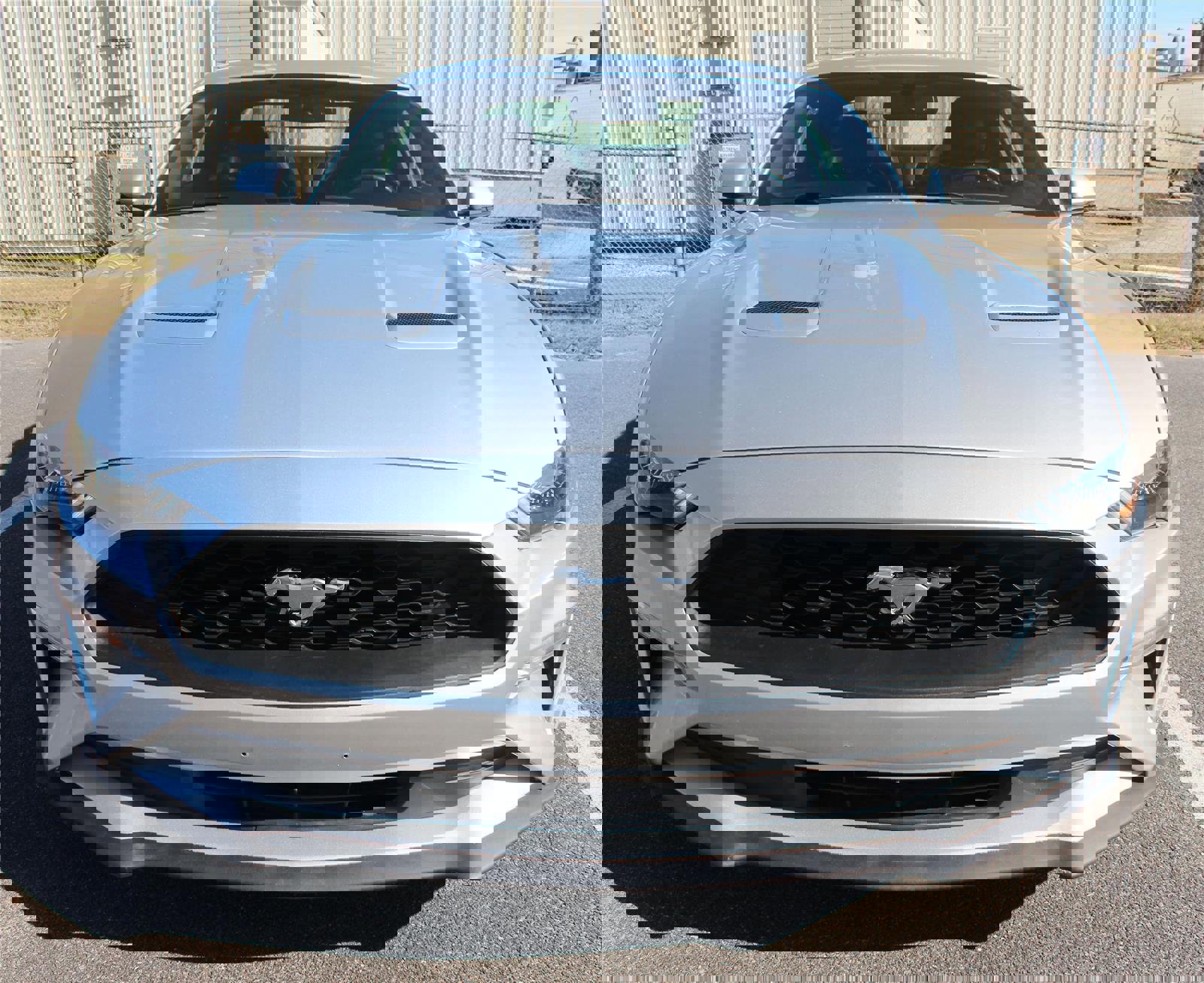 Used 2019 Ford Mustang Premium image 11