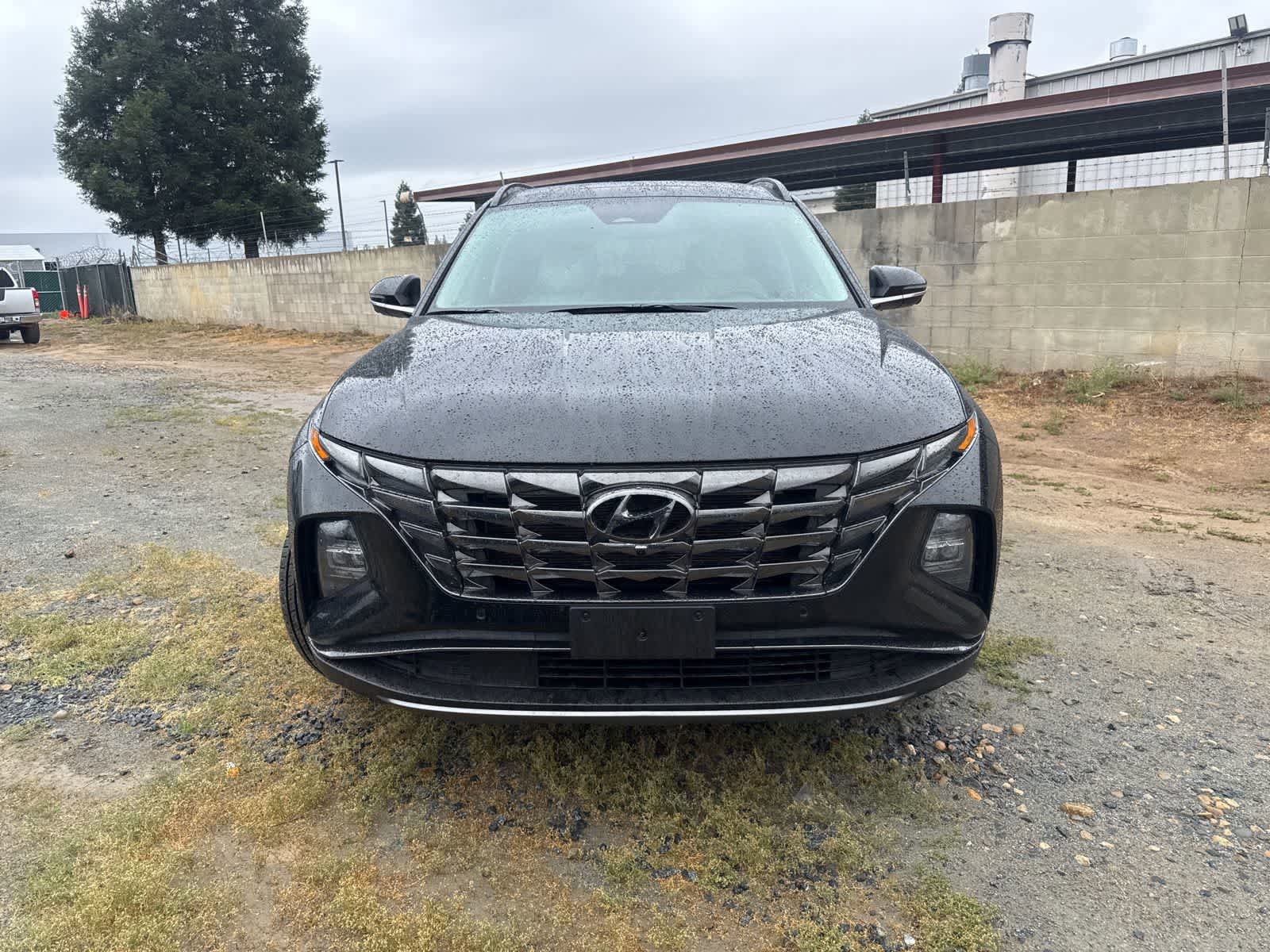 Used 2024 Hyundai Tucson Limited video 2