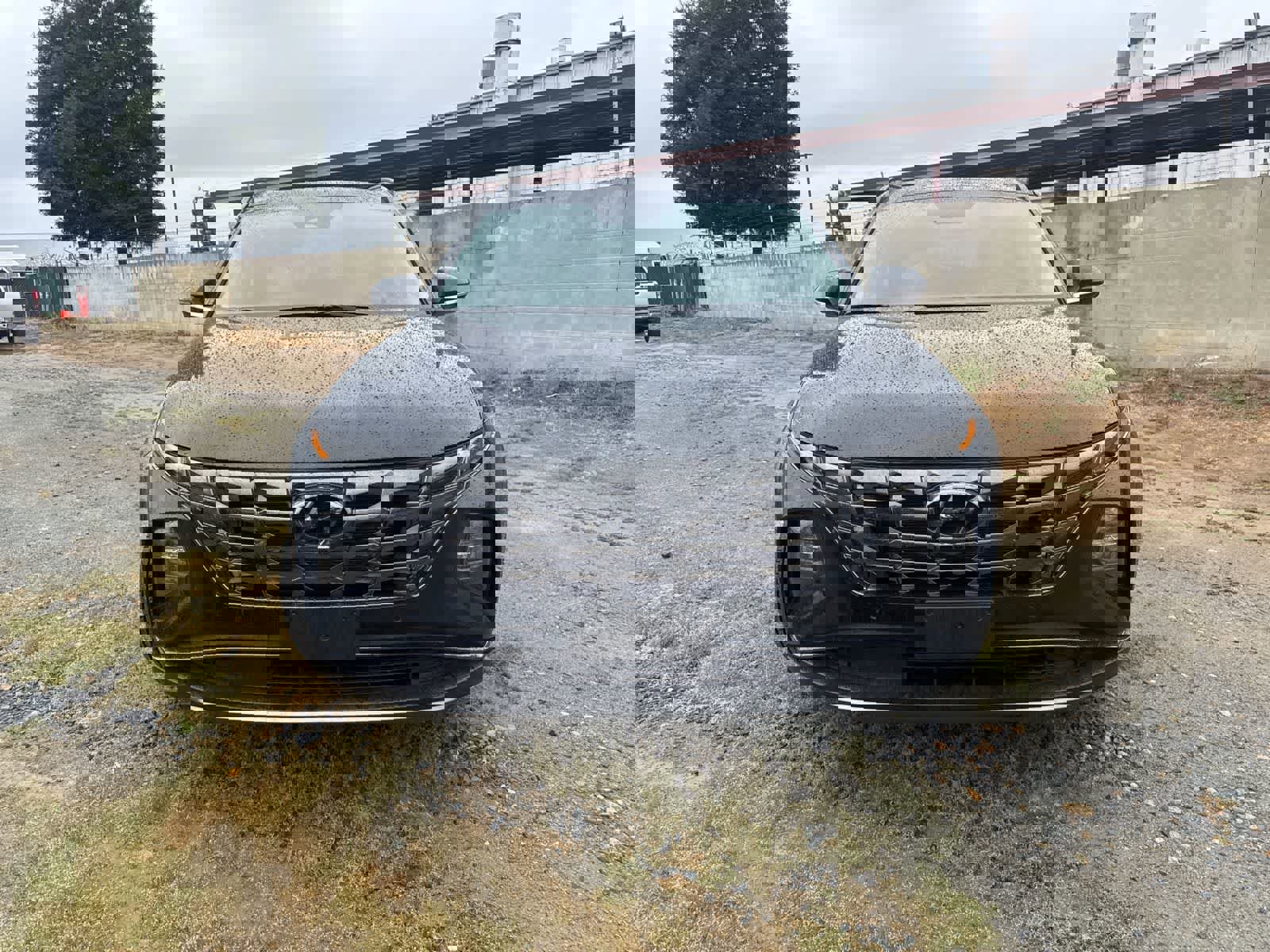 Used 2024 Hyundai Tucson Limited image 2