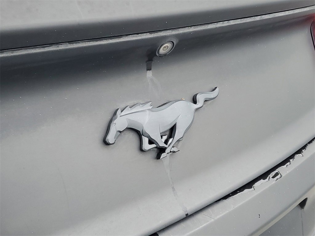 Used 2016 Ford Mustang Premium w/ Wheel & Stripe Package image 5