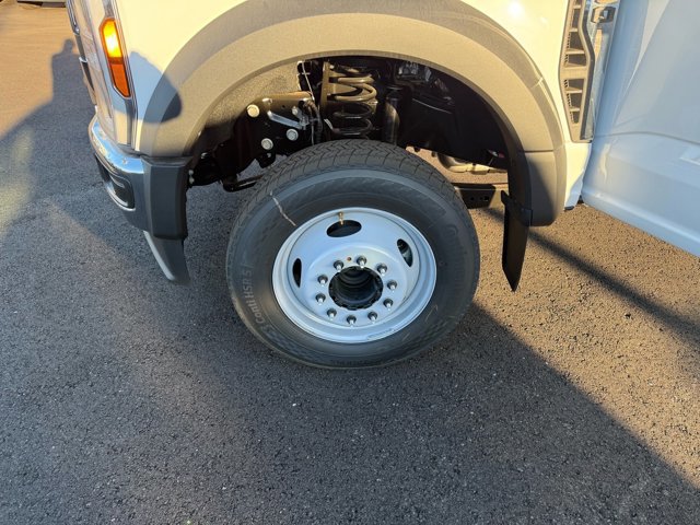 New 2026 Ford F550 2WD Regular Cab Super Duty image 14