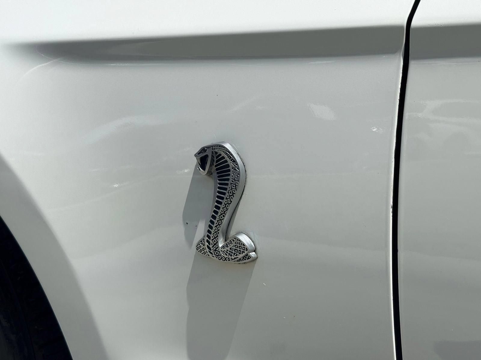 Used 2010 Ford Mustang Shelby GT500 RWD image 12