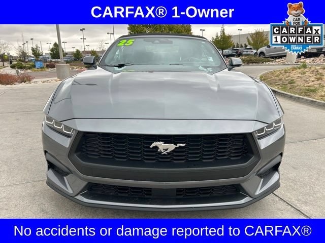 Used 2025 Ford Mustang Premium RWD video 2