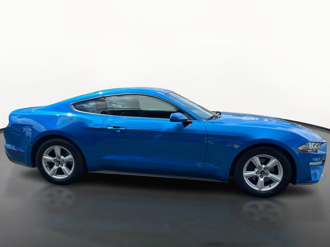 Used 2019 Ford Mustang Coupe RWD image 2