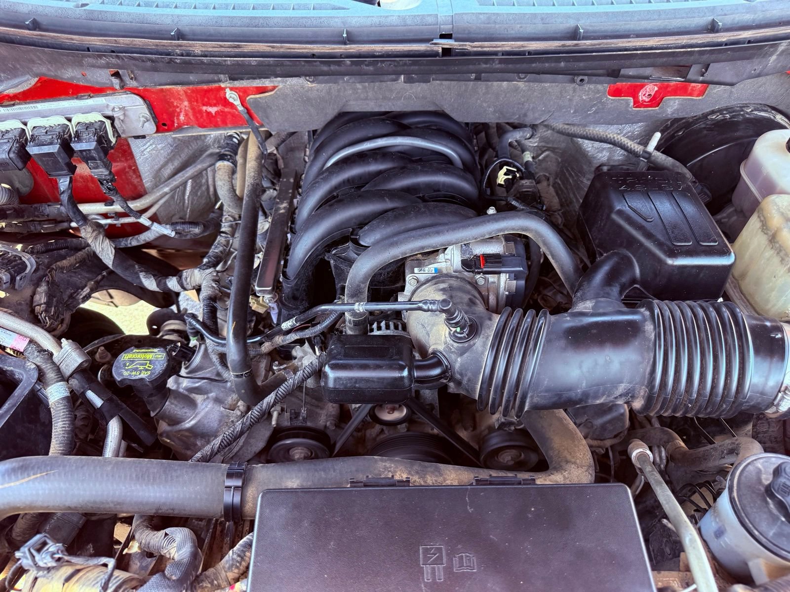 Used 2010 Ford F150 XLT RWD image 19