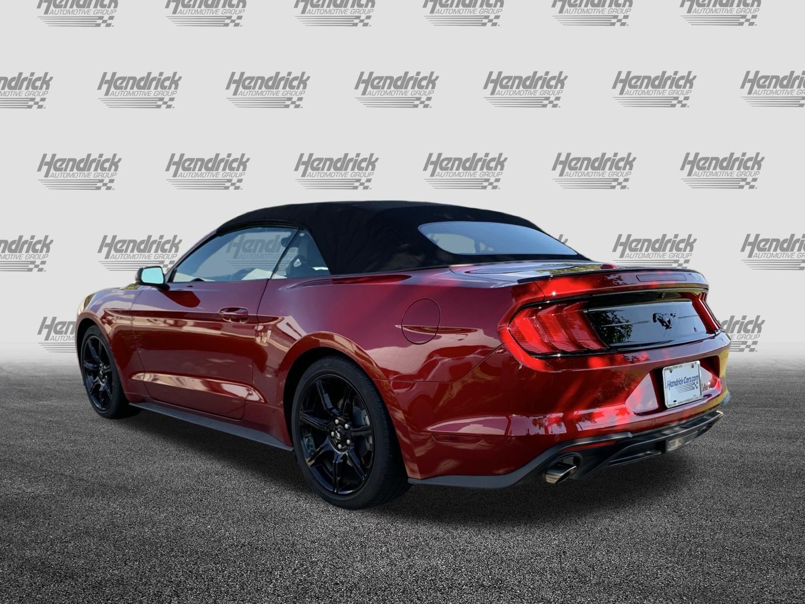Used 2019 Ford Mustang Premium w/ Equipment Group 201A RWD image 8