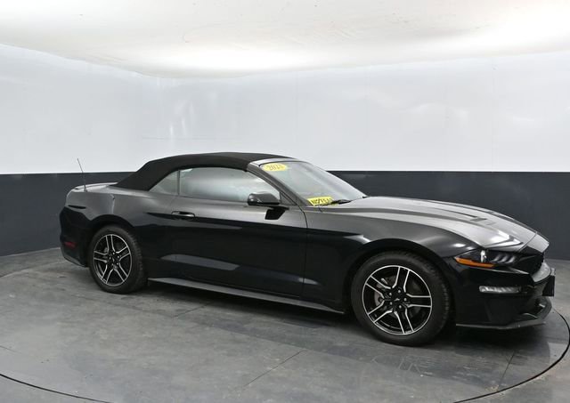 Used 2023 Ford Mustang Premium RWD image 5
